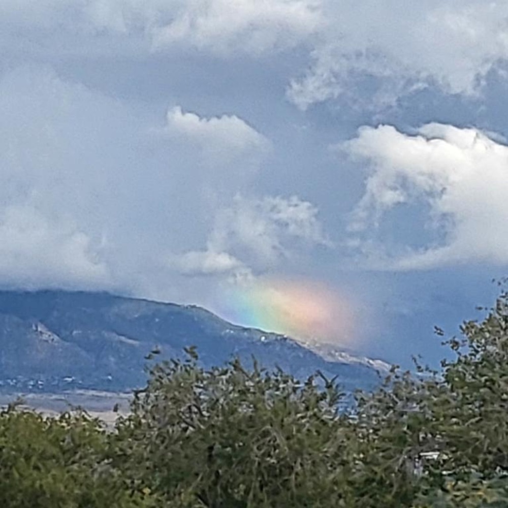 Meet your Posher, Kori